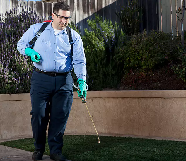 Reliable Termite Barrier Treatment Experts in Nampa, ID
