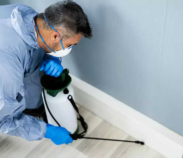 Reliable Termite Cost Experts in Nampa, ID