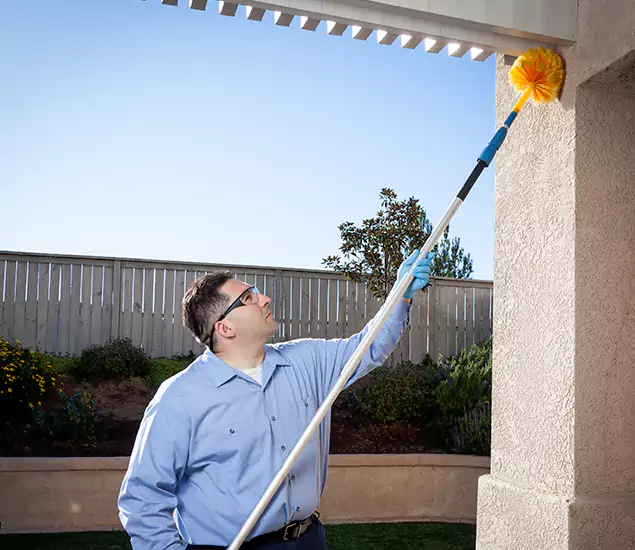 Your Trusted Wasp Removal Company in Nampa, ID