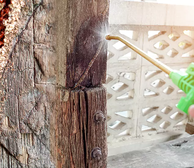 About Wood Termite Treatment Services in Nampa, ID