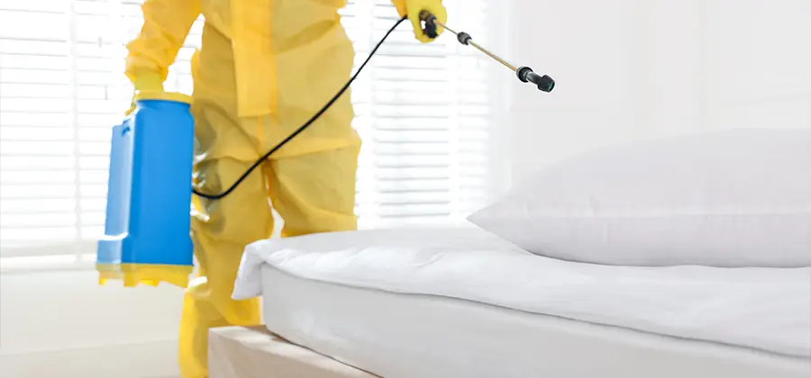 Targeted Chemical Application in Nampa