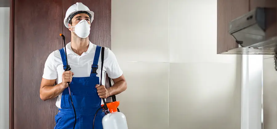 Per Room Bed Bug Cost in Nampa