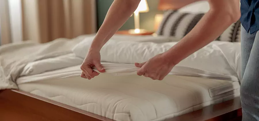 Bed Bug Extermination Services in Nampa