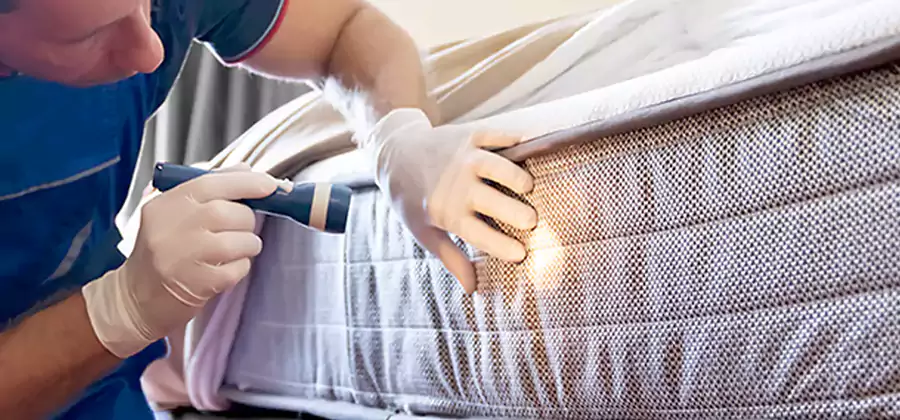 Residential Bed Bug Treatment Cost in Nampa
