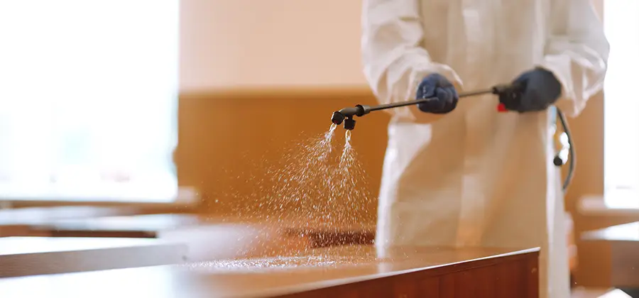 Residential Bed Bug Treatment Option in Nampa