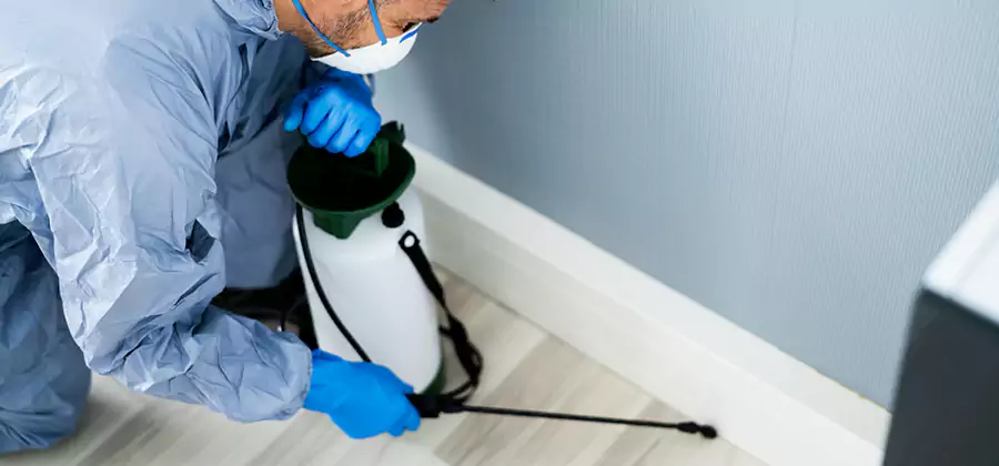 Fumigate Apartment Roaches in Nampa