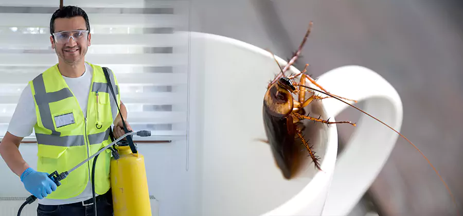 German Roach Infestation Treatment Nampa