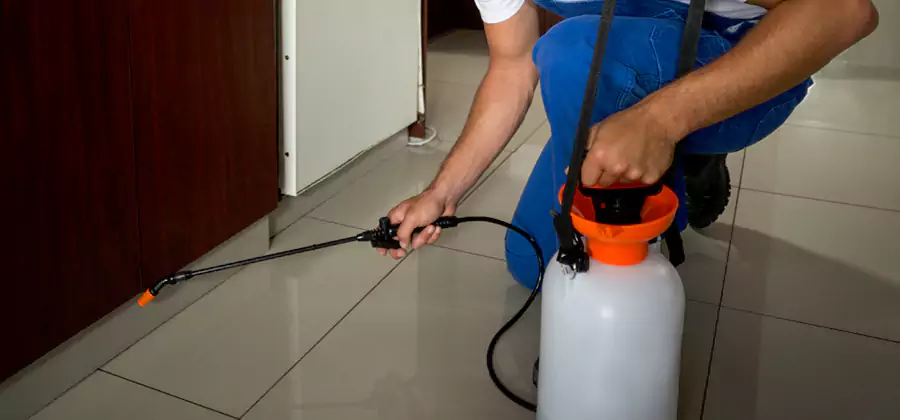 Indoor Mosquito Treatment in Nampa