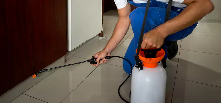 Indoor Insect Killer Solutions in Nampa