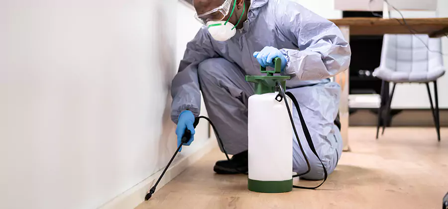 Long Lasting Mosquito Treatment in Nampa