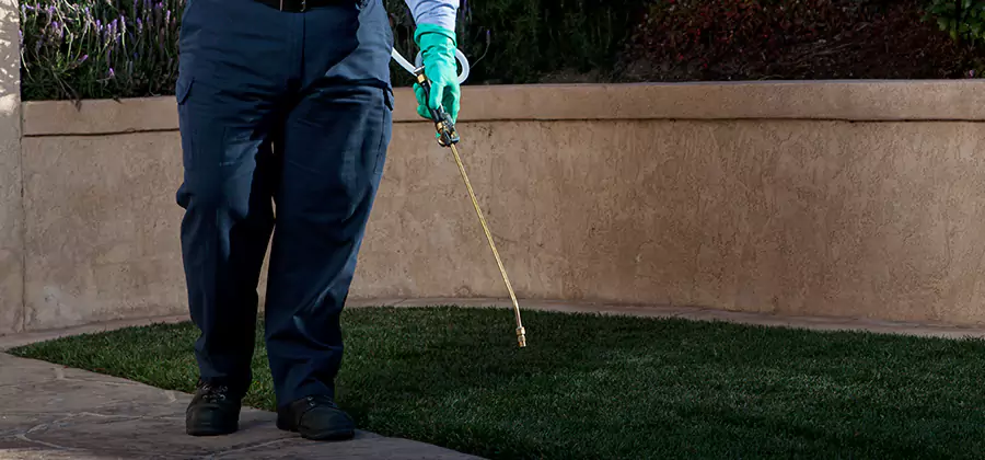 Soil Treatment for New Construction Termites in Nampa