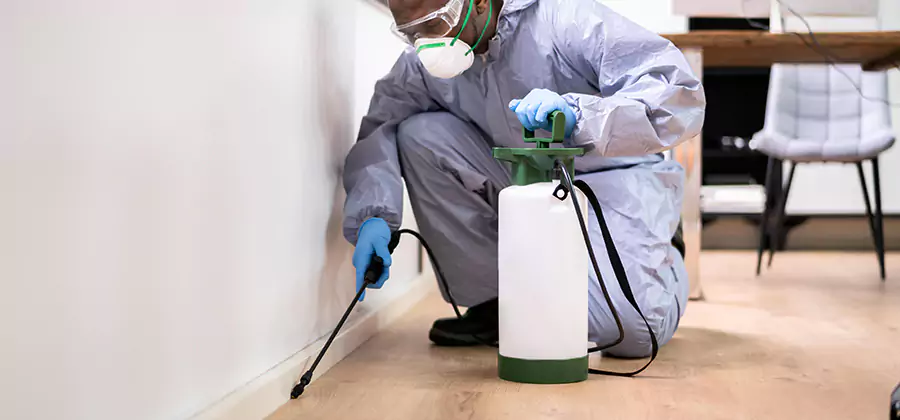 No Tent Termite Extermination With Electric Tool in Nampa