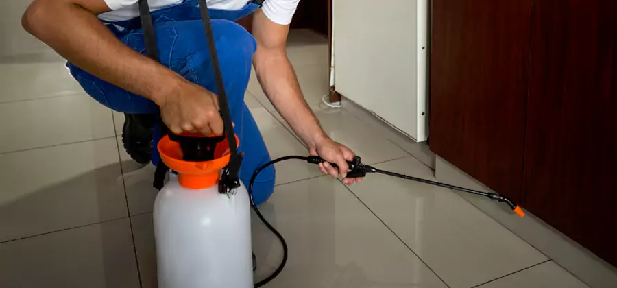 One Time Termite Control in Nampa