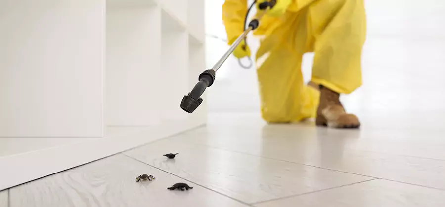Roach and Bed Bug Exterminator in Nampa