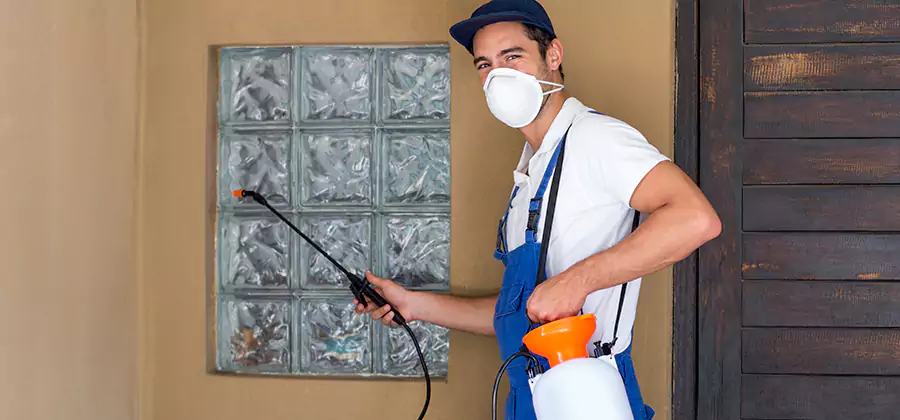 Physical Termite Barrier Installation in Nampa