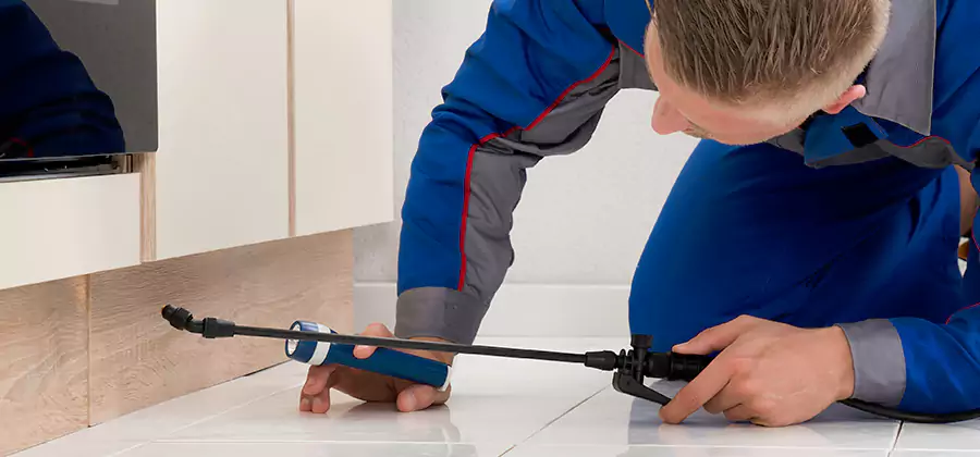 Moisture Treatment For Termite Control Service in Nampa