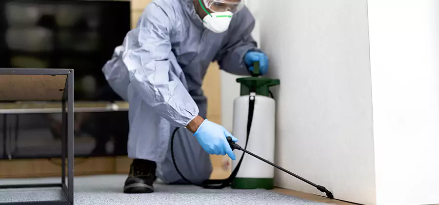 Wood Protection Termite Treatment in Nampa