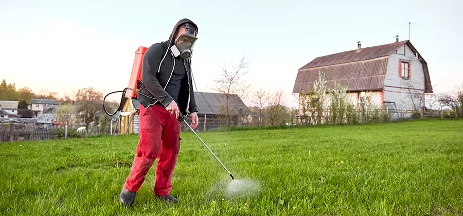 Flea and Tick Pest Control in Nampa