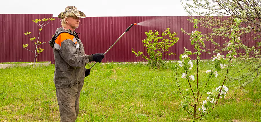 Flea and Tick Spray for Yard in Nampa