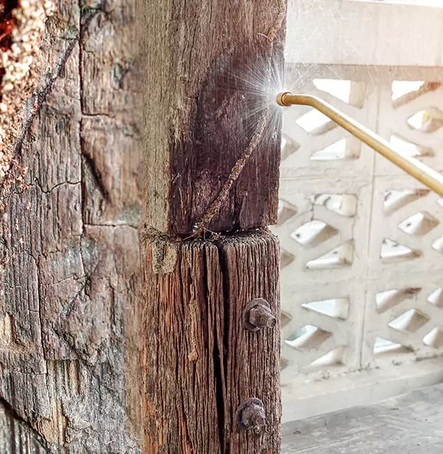 Why Choose Nampa Pest Control Pro for Attic Termite Treatment in Nampa, ID?