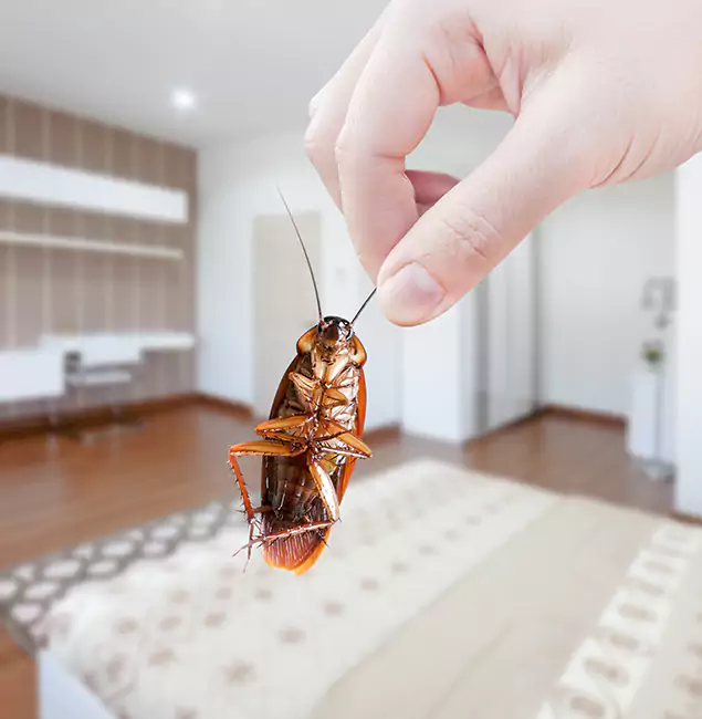 Why Nampa Pest Control Pro Stand Out for Bed Bug Fumigation in Nampa, ID?