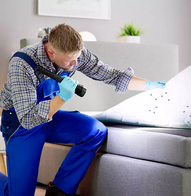Why Choose Nampa Pest Control Pro For Bed Bug Heat Treatment in Nampa, ID?