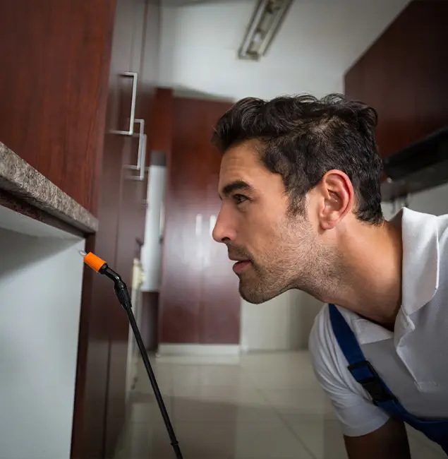 Why Choose Nampa Pest Control Pro for Bed Bug Removal Cost in Nampa, ID?