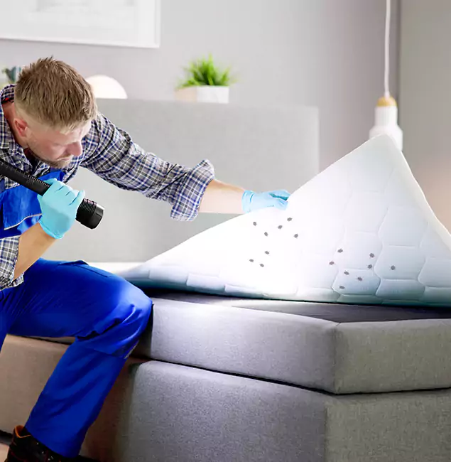 Why Choose Nampa Pest Control Pro in Nampa, ID?