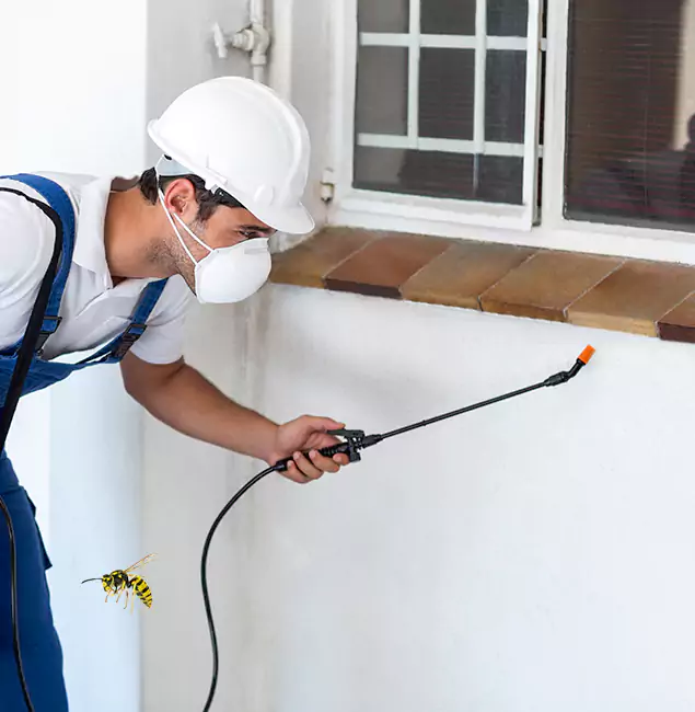 Why Nampa Property Owners Choose Nampa Pest Control Pro for Bee Nest Removal?