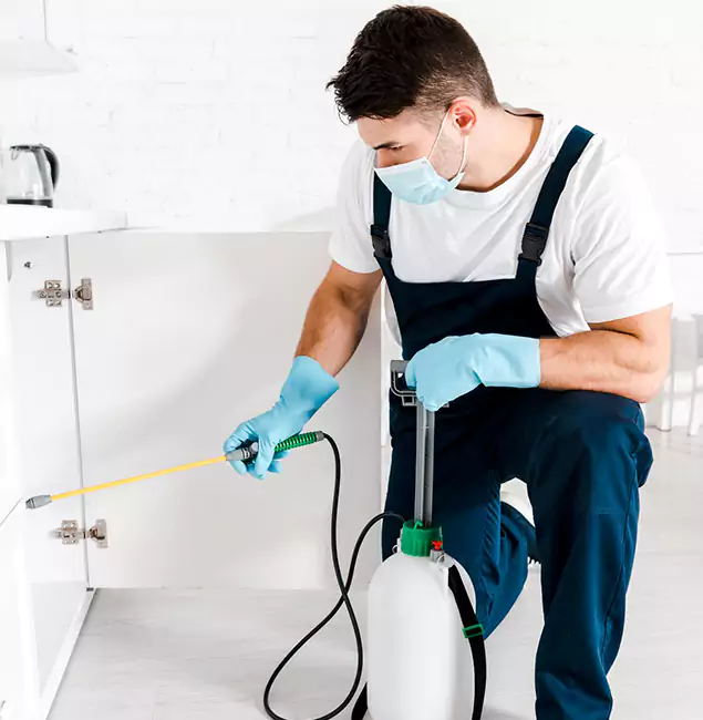 Why Choose Nampa Pest Control Pro for Emergency Pest Control in Nampa?
