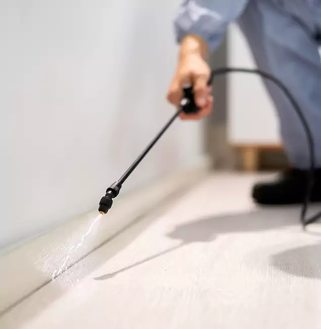 Why Choose Nampa Pest Control Pro for Termite Treatment in Nampa, ID?