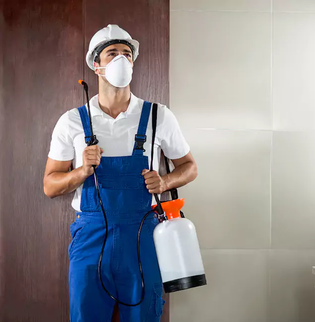 Why Choose Us for Heat Treatment for Termites in Nampa, ID?