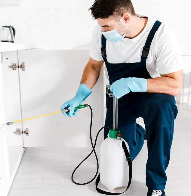Why Choose Nampa Pest Control Pro for Indoor Pest Control in Nampa, ID?