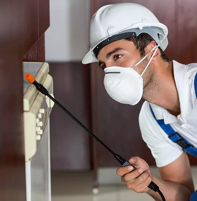 Why Nampa Homeowners Rely on Nampa Pest Control Pro for Tick Treatment?