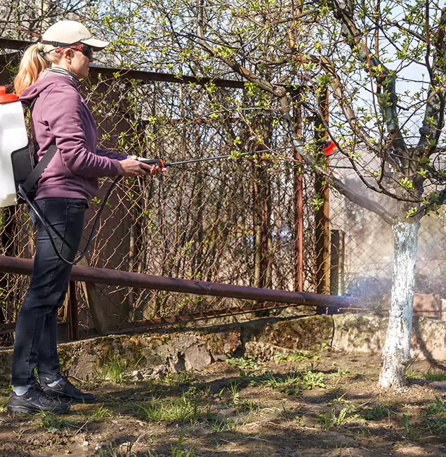Why Nampa Homeowners Choose Nampa Pest Control Pro for Mosquito Abatement?