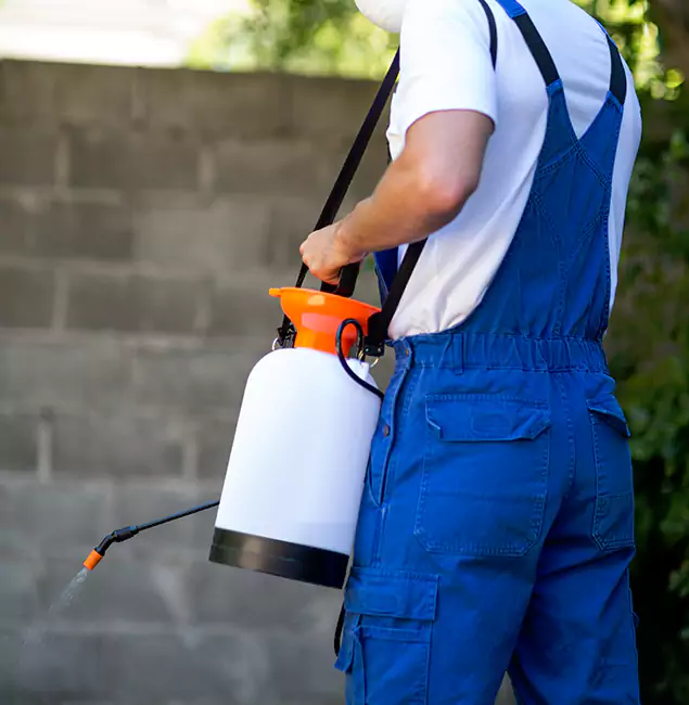 Why Nampa Homeowners Rely on Nampa Pest Control Pro for Mosquito Control?
