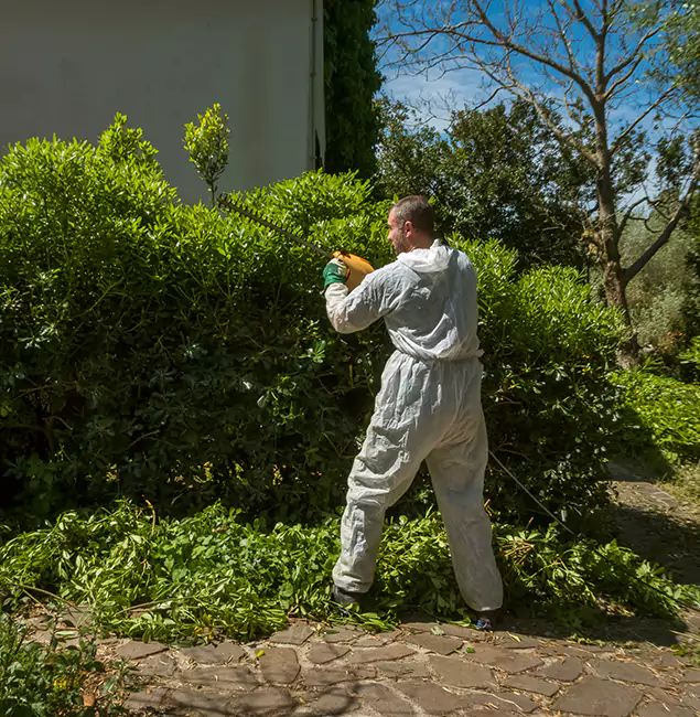 Why Nampa Pest Control Pro Leads Mosquito Control in Nampa, ID?
