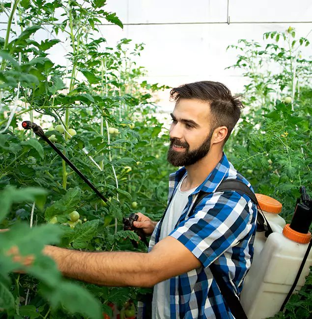Why Nampa Homeowners Choose Nampa Pest Control Pro for Mosquito Spraying?