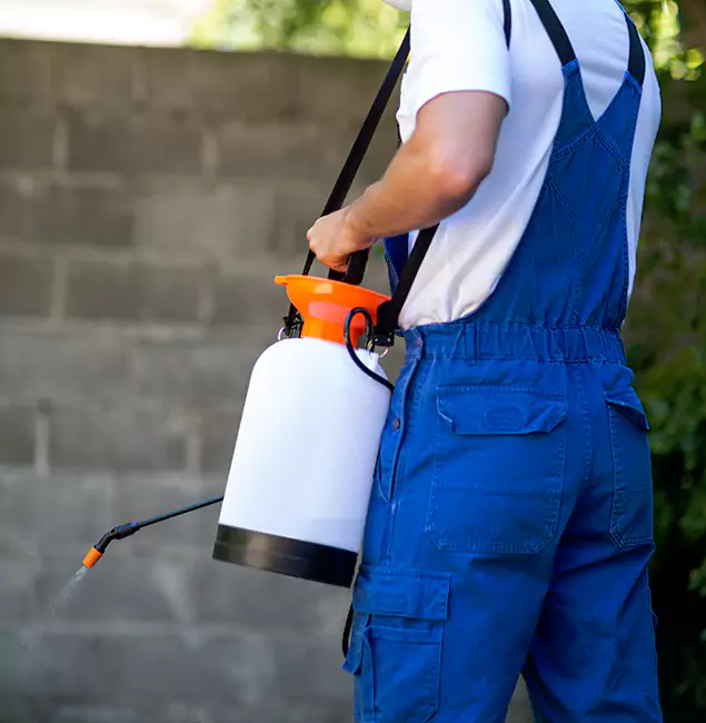 Why Nampa Pest Control Pro Delivers the Best Mosquito Control in Nampa, ID?