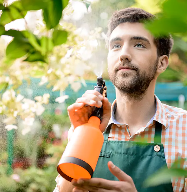 Why Nampa Homeowners Call Nampa Pest Control Pro for Mosquitoes in House?