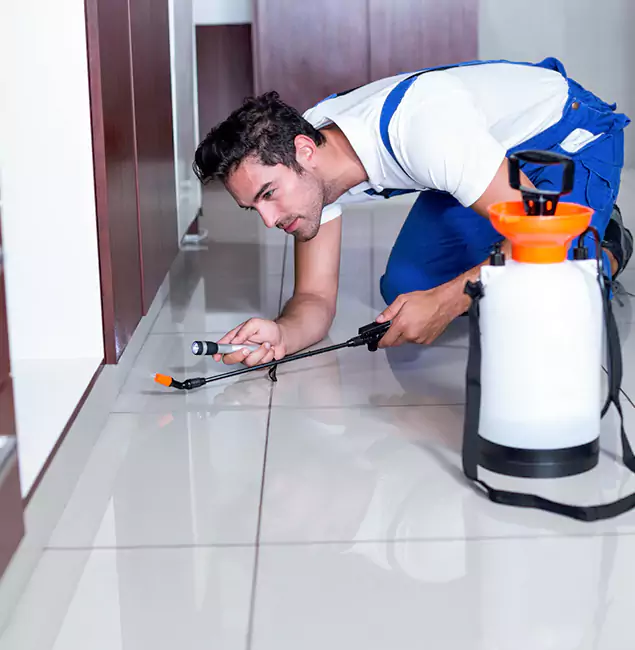 Why Nampa Pest Control Pro Is the Proven Choice in Nampa, ID?