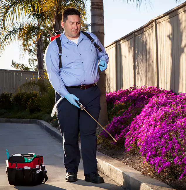 Why Choose Nampa Pest Control Pro in Nampa, ID?