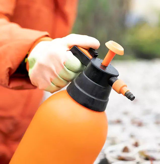 Why Choose Nampa Pest Control Pro for Orange Termite Treatment in Nampa, ID?