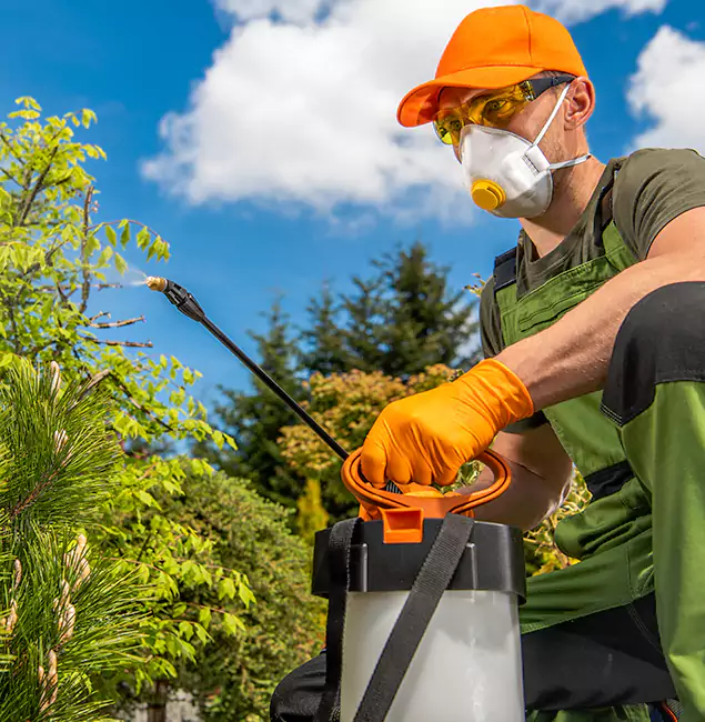 Why Choose Nampa Pest Control Pro for Outdoor Pest Control in Nampa, ID?