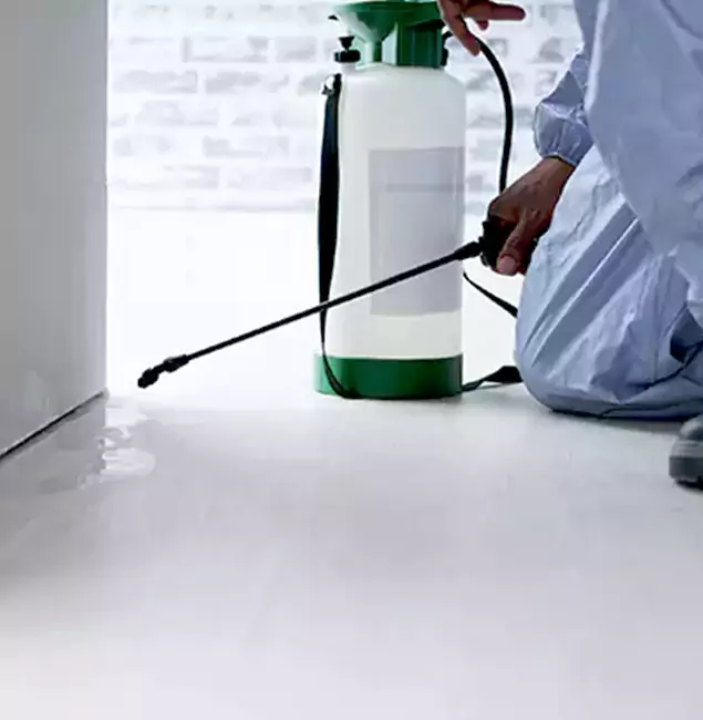 Why Choose Nampa Pest Control Pro for Rat Exterminator in Nampa, ID?