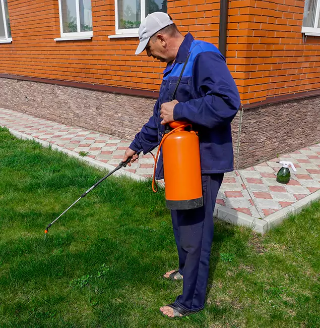 Why Choose Nampa Pest Control Pro for Residential Pest Control in Nampa, ID?