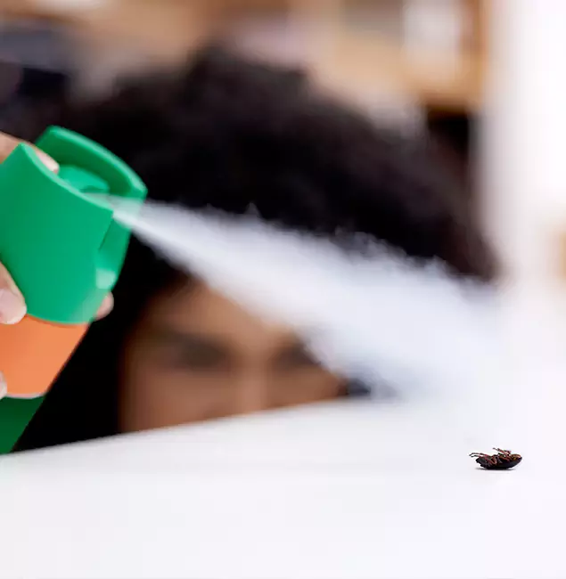 Why Nampa, ID Homeowners Choose Nampa Pest Control Pro for Roach Pest Control?