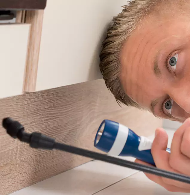 Why Choose Nampa Pest Control Pro for Rodent Exterminator in Nampa, ID?