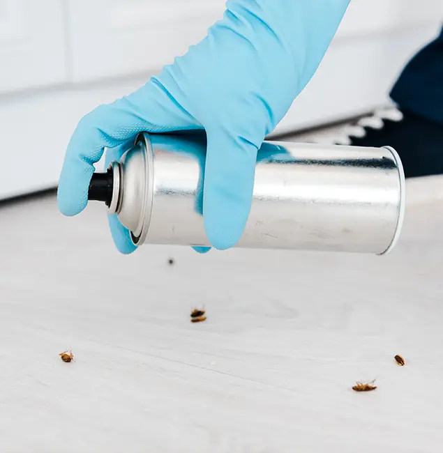 Why Choose Nampa Pest Control Pro for Safe Bed Bug Treatment in Nampa, ID?