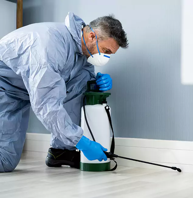 Why Choose Nampa Pest Control Pro for Subterranean Termites Treatment in Nampa, ID?
